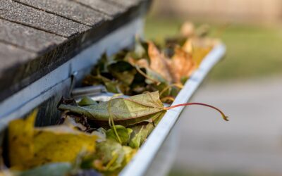 How to Clean Your Gutters Safely