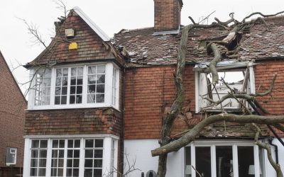 Storm Damage Roof Check Guide